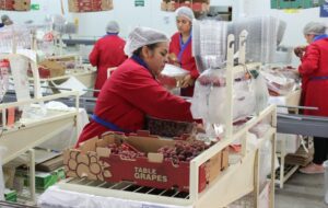 Número de ocupados aumenta y más de 28 mil empleos se crean en la región de Coquimbo