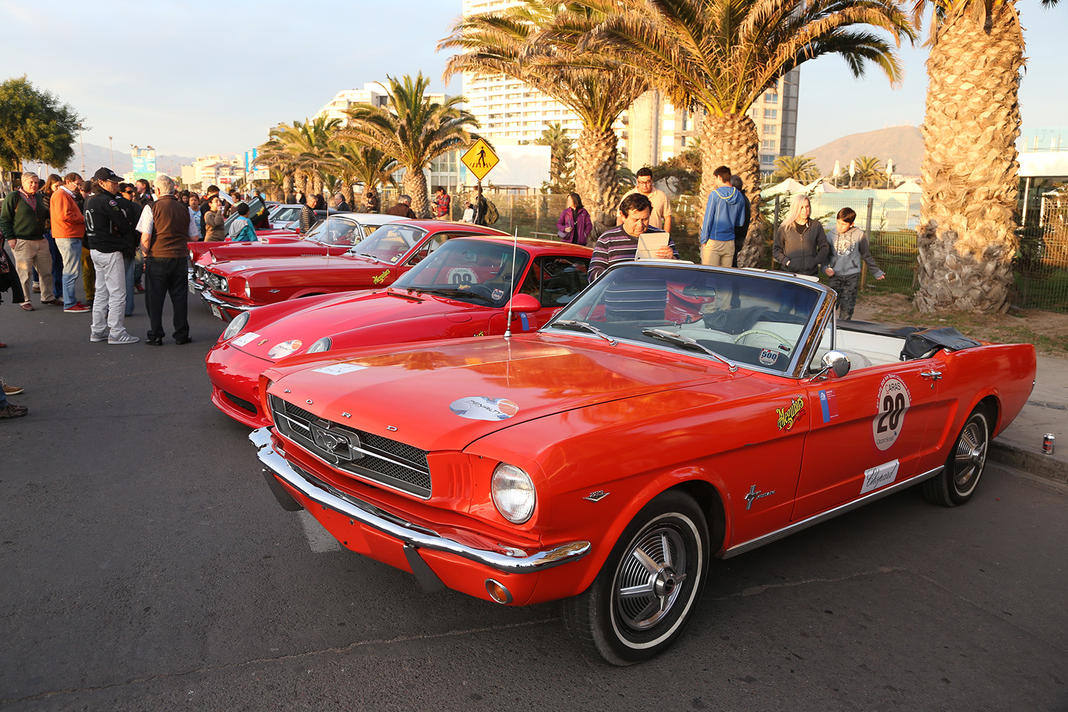Los autos “clásicos” se tomarán las calles de Coquimbo este fin de semana