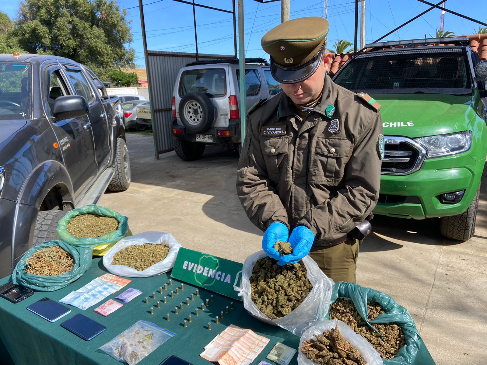 Desbaratan organización criminal vinculada al narcotráfico en el Choapa