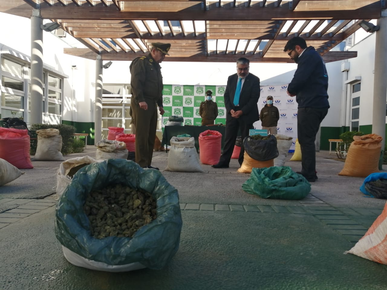 Carabineros logró multimillonario decomiso de marihuana en Río Hurtado: más de $1.300 millones