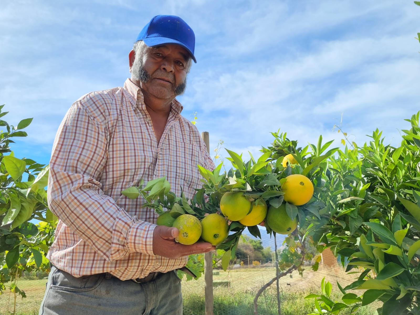 Tuvo que diversificar sus producciones como una forma de luchar ante los embates climáticos