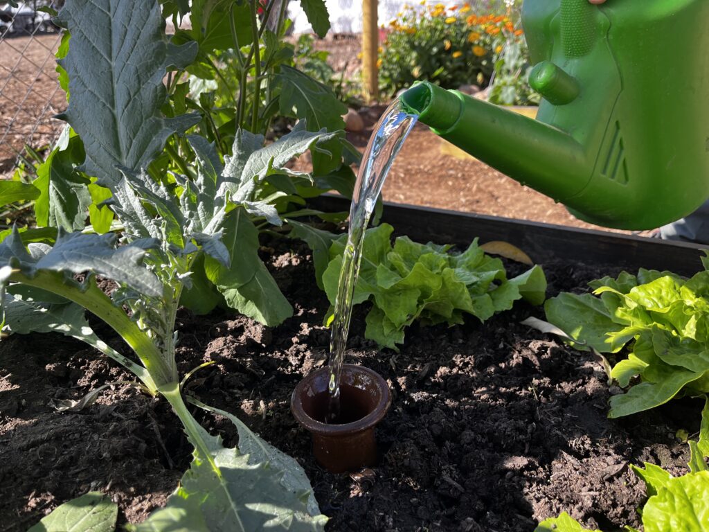 Riego con vasijas de greda, la nueva técnica que promete gran ahorro de agua será validado por INIA en huerta urbana