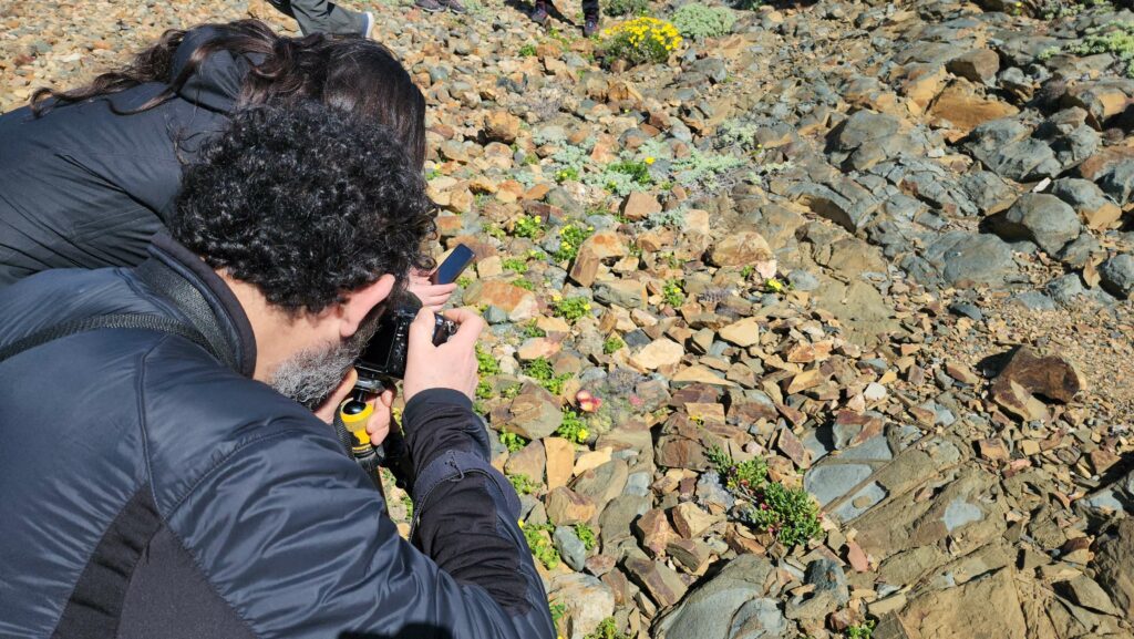 Estudian conservar cactus en peligro de extinción
