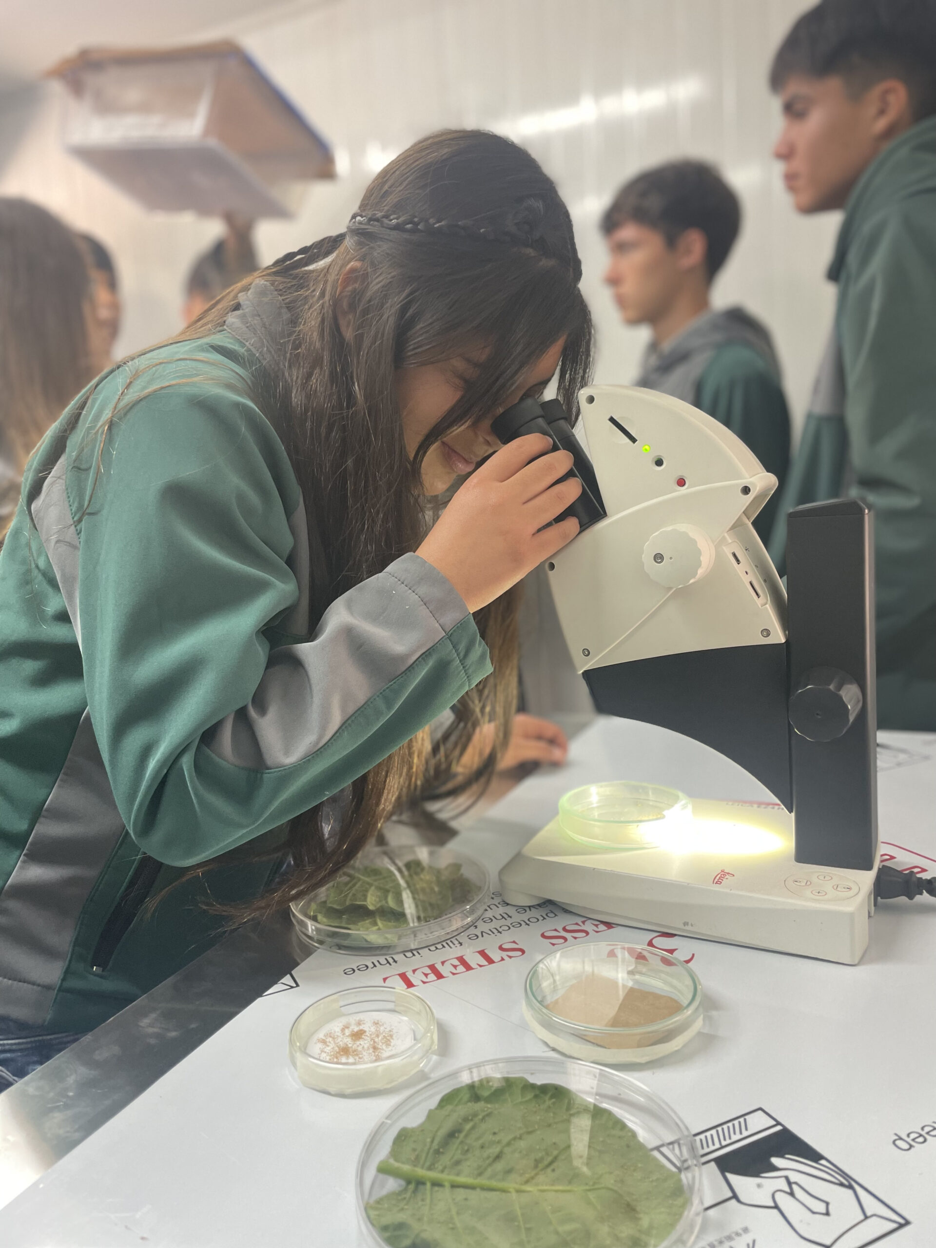 Implementan biofábricas de insectos benéficos en liceos agrícolas para transitar hacia una agricultura sostenible