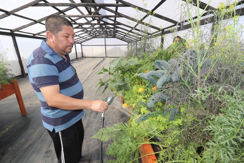 Culebrón de Coquimbo: Valoran proyecto de reforestación que ha dado vida a lugar abandonado