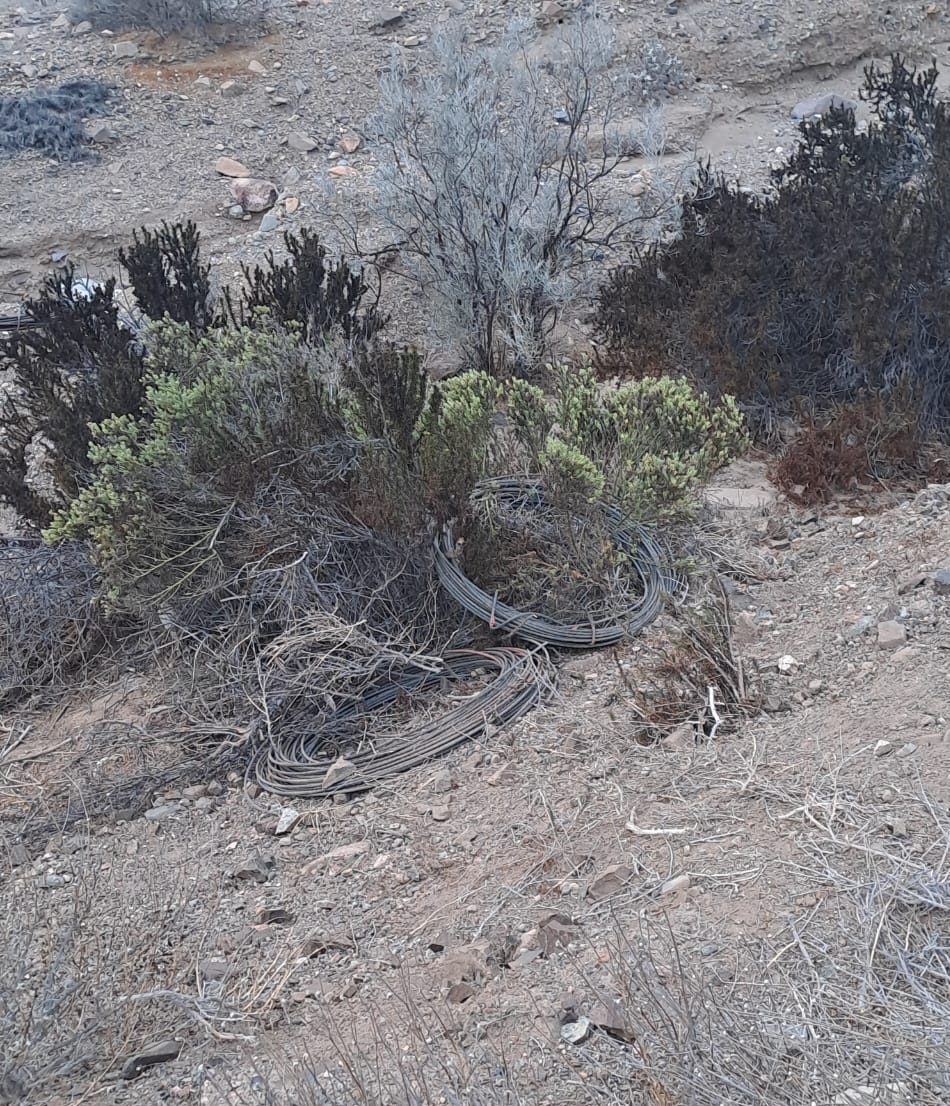 Clientes sin energía eléctrica: Nuevo robo de tres mil metros de cable de cobre en La Higuera