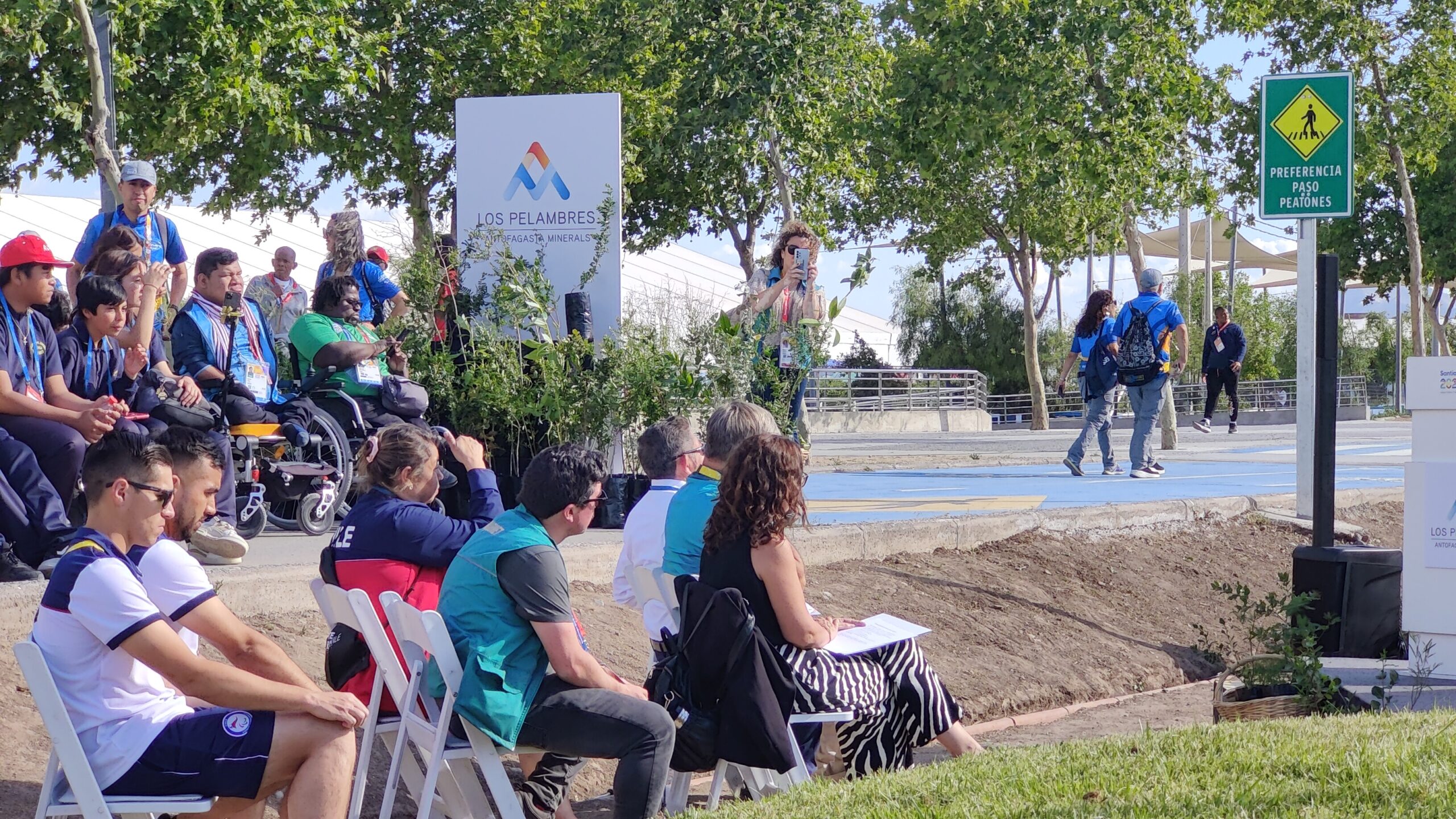 Árboles del Choapa quedan como legado en Villa Panamericana de Santiago 2023
