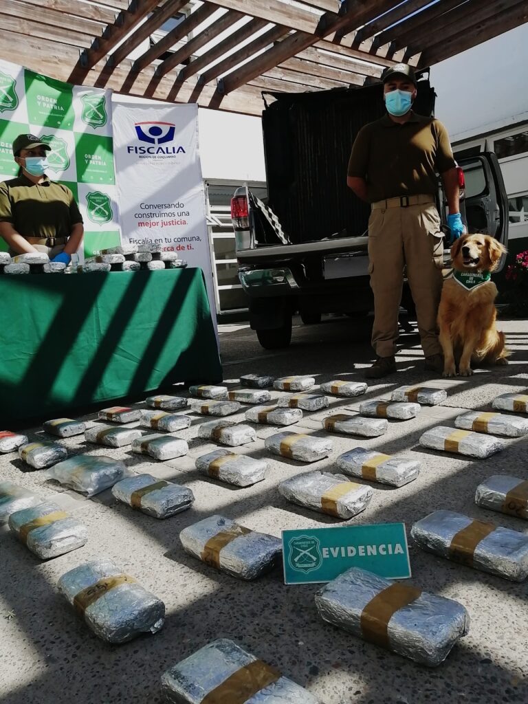 Multimillonario decomiso de drogas tras fiscalización carretera