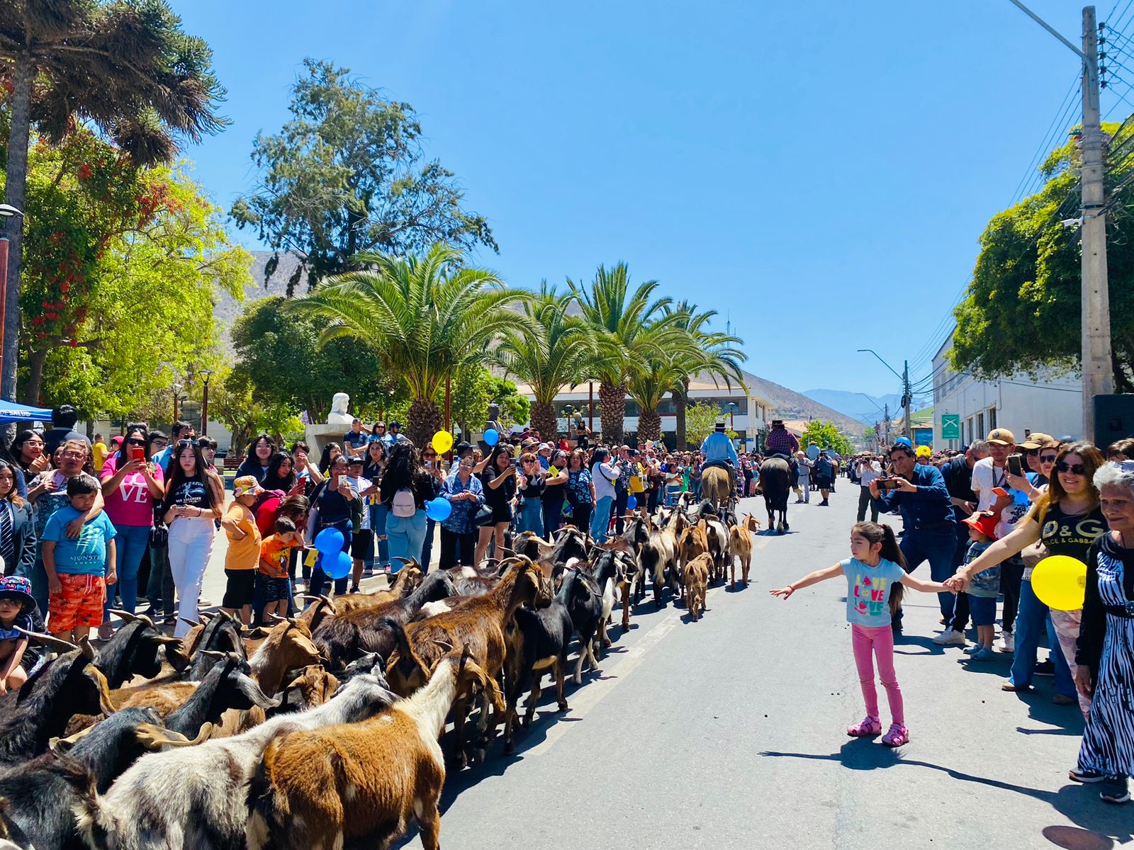 Hermosa "Fiesta de la Trashumancia" en las calles de Illapel