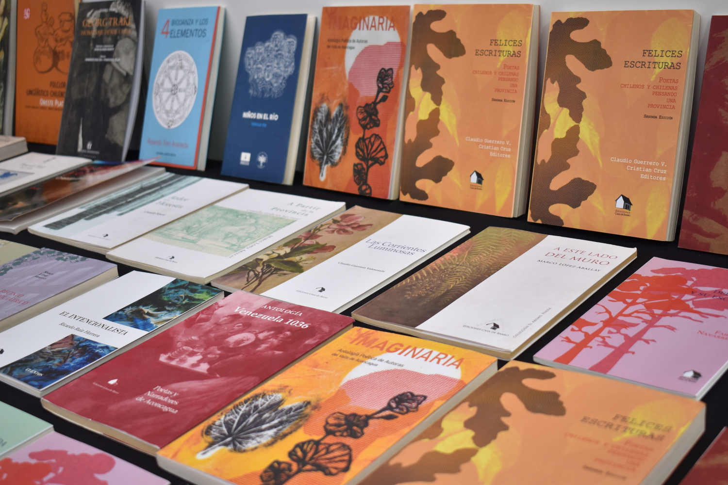 Boulevard del Libro se desarrollará hasta el sábado en la Plaza de Armas de La Serena