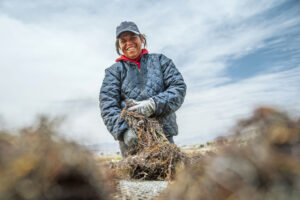 Algueras y algueros de Coquimbo son reconocidos oficialmente como Patrimonio Cultural de Chile