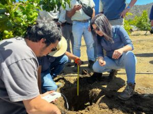 Citricultores de Punitaqui aprenden técnicas para optimizar riego y enfrentar la escasez hídrica