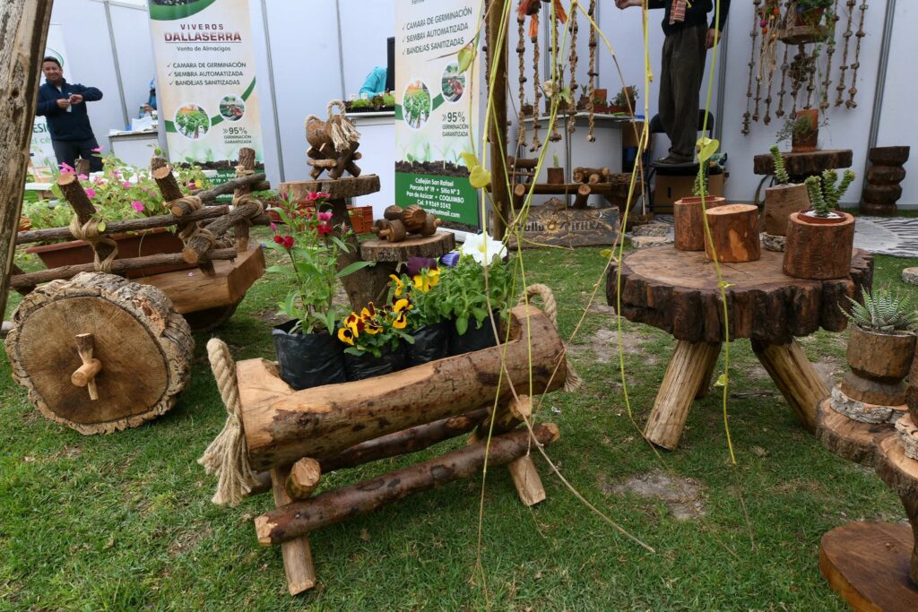 La Serena: Realizarán feria dedicada al cuidado de mascotas y plantas