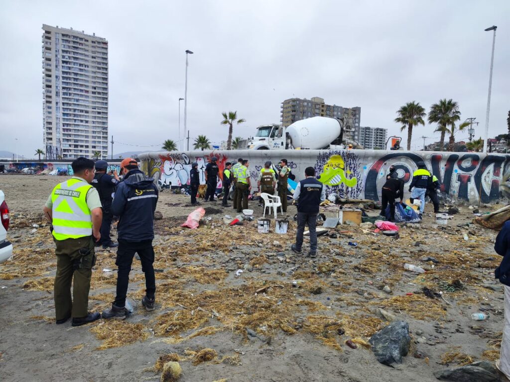 Sernapesca incautó más de 14 toneladas de algas en la costa de Coquimbo