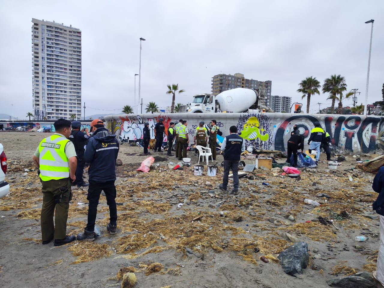 Sernapesca incautó más de 14 toneladas de algas en la costa de Coquimbo