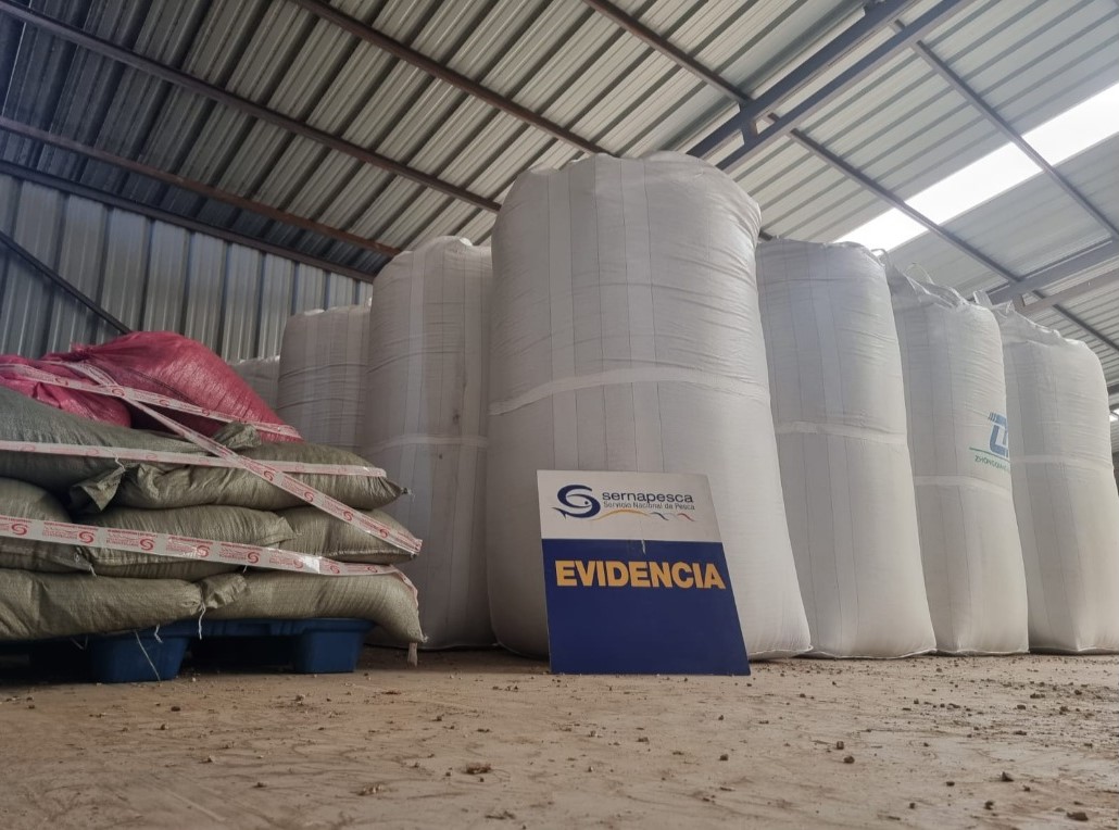 Sernapesca incautó cerca de 30 toneladas de alga seca ilegal en planta de Ovalle