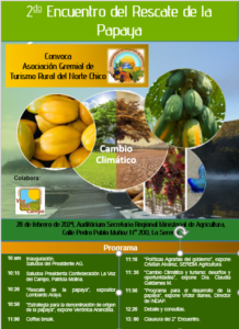 Al rescate de la Papaya: Realizarán encuentro de productores y autoridades en La Serena