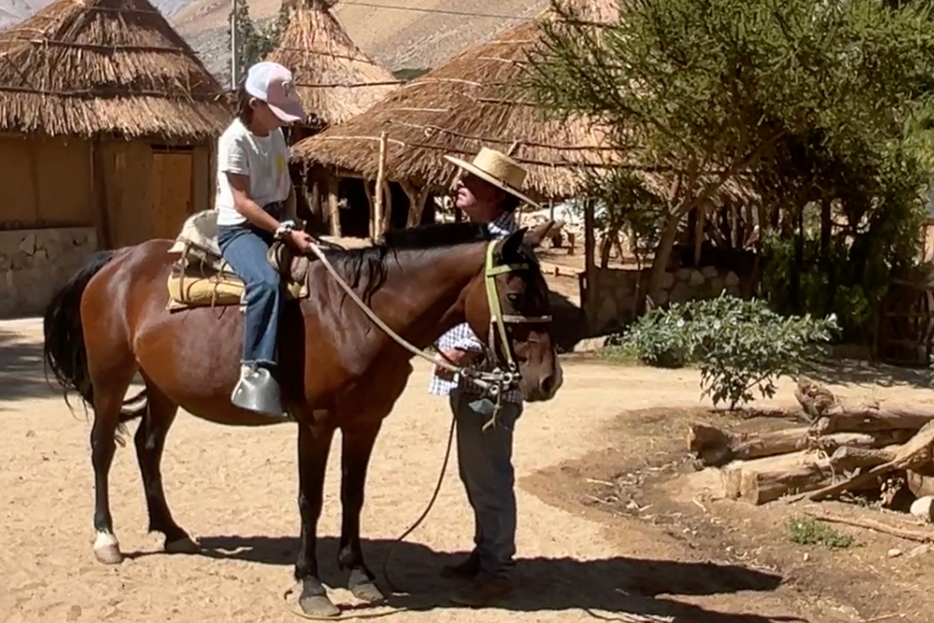 Panorama: Recárgate de energía con una cabalgata por montañas y arroyos en el Valle de Elqui