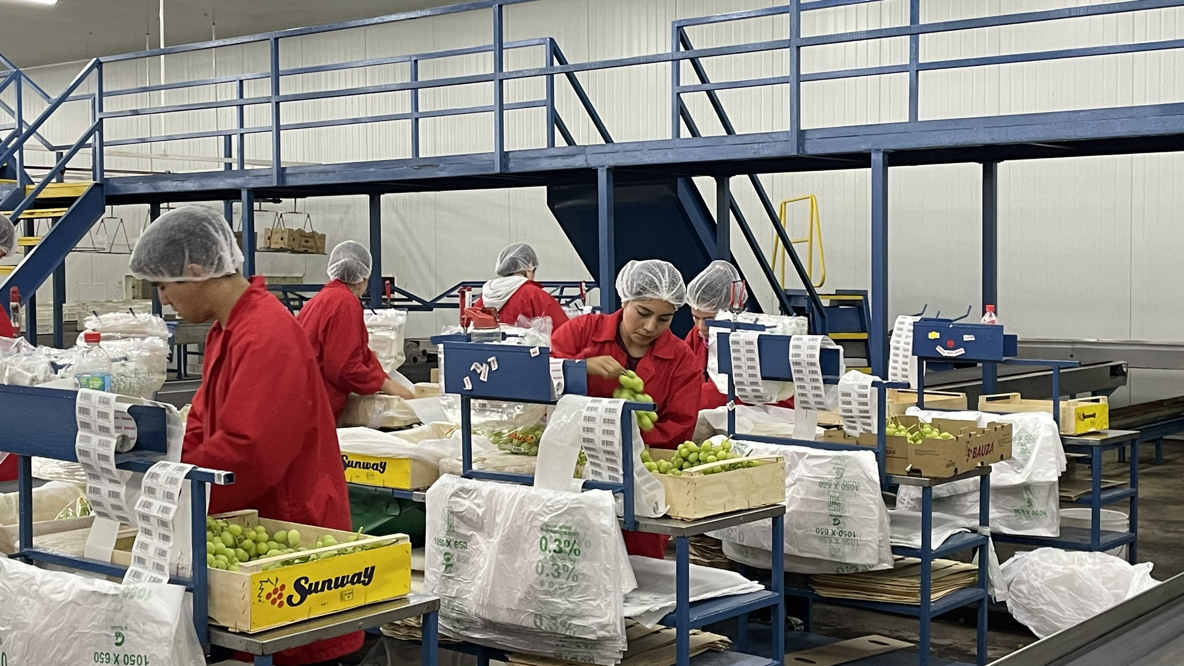 Llaman a empresas de la región de Coquimbo a utilizar los subsidios de incentivo a la contratación