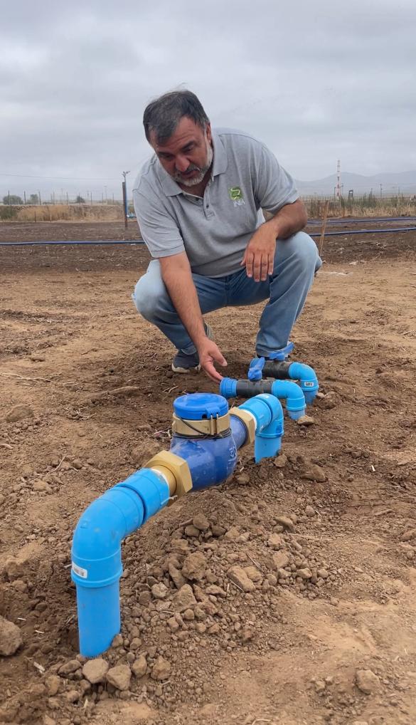 Prueban en Coquimbo sistema de riegoaltamente eficientepara cultivo de alfalfa