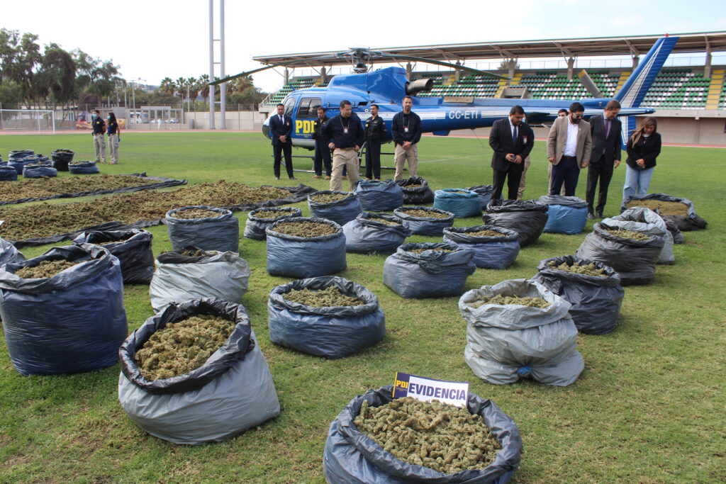 Mil 660 kilos de marihuana mantenia banda criminal en Ovalle