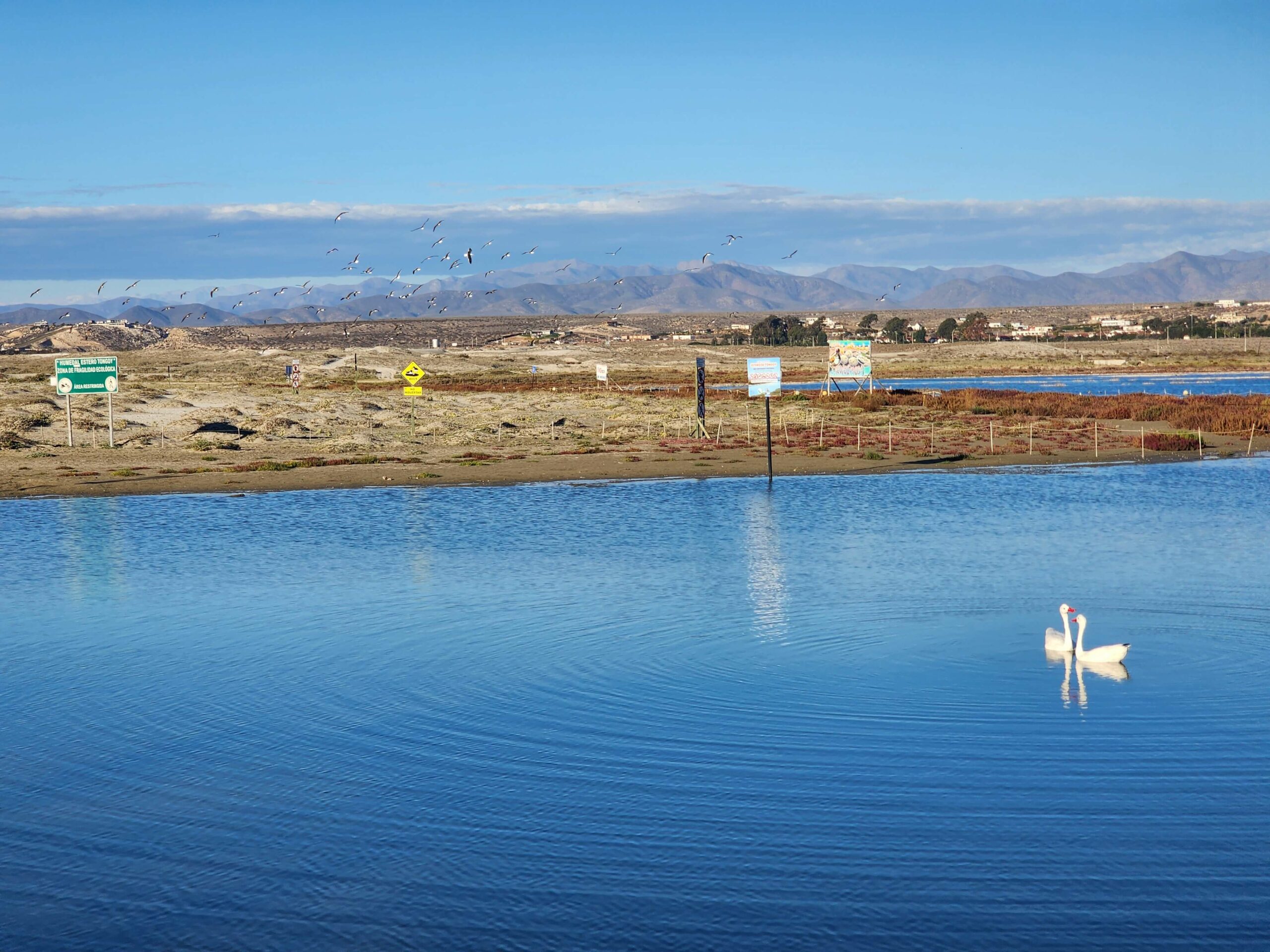 La importancia de la barra de arena en el Estero de Tongoy