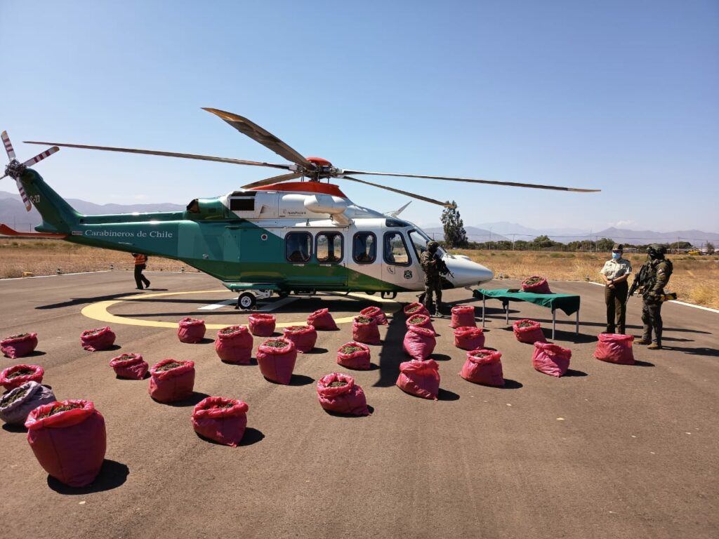 Tercer decomiso histórico de marihuana en la región de Coquimbo: Ya van más de 90 mil plantas decomisadas