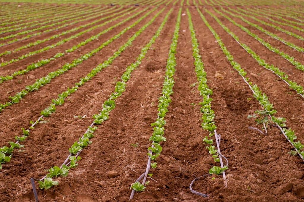 Ponen énfasis en iniciativas que potencien la eficiencia del agua y la transferencia a una agricultura sustentable