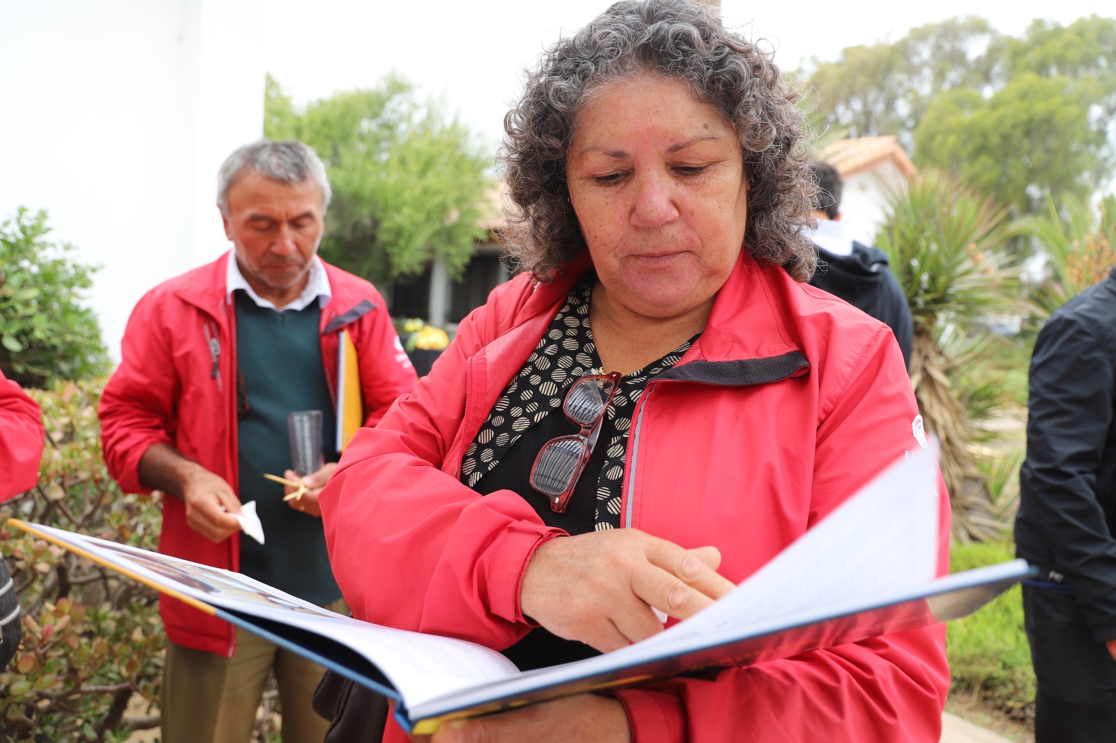 INIA Intihuasi lanza libro que rescata la historia de la papaya en la región de Coquimbo