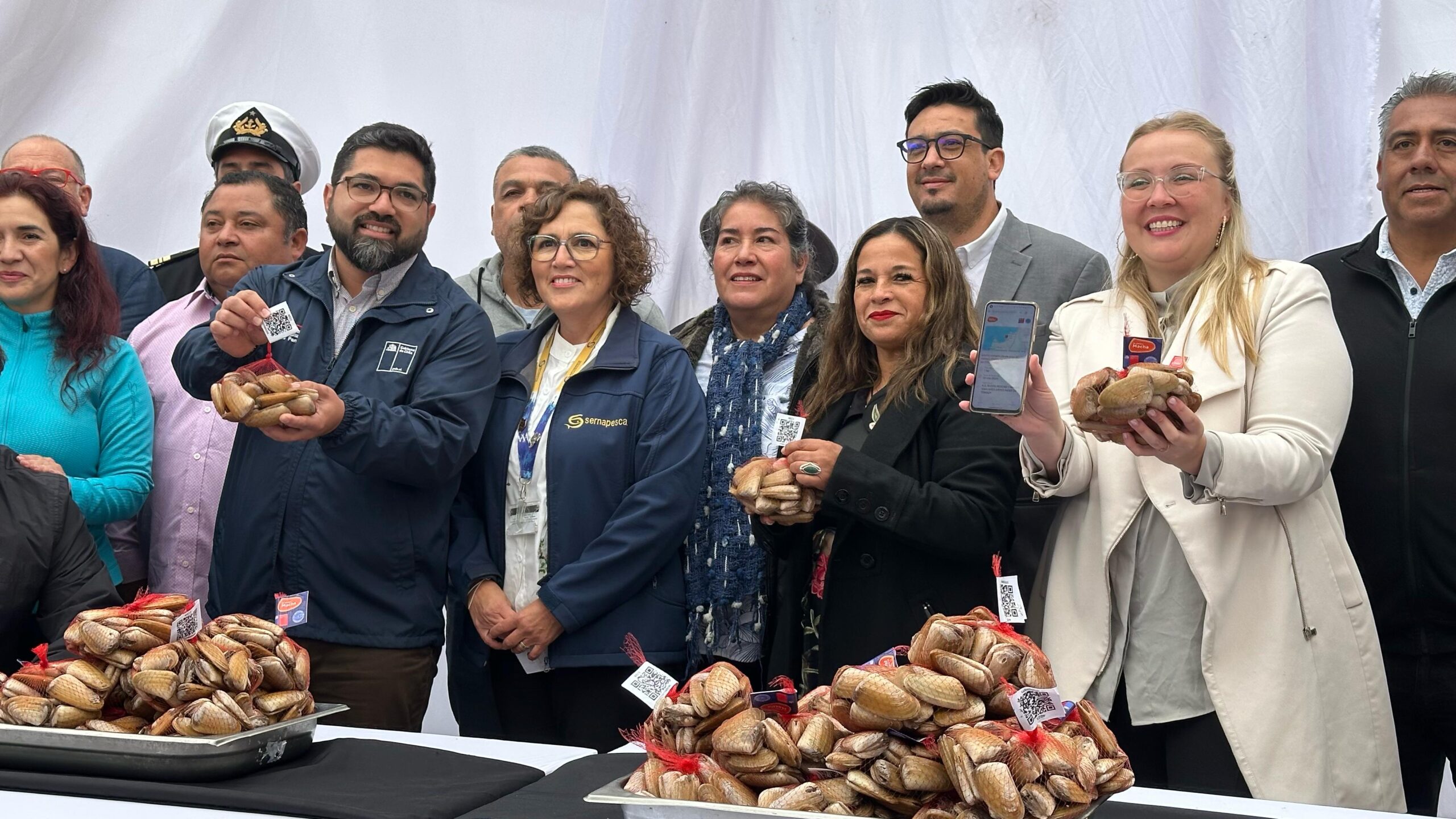“La Mejor Macha”: Fortaleciendo la cadena de valor de un producto emblemático de la Región de Coquimbo