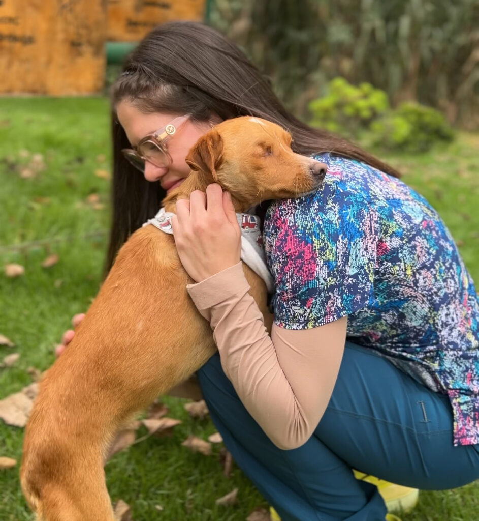 Match-cotas: La Serena potencia su campaña para adoptar animales de compañía