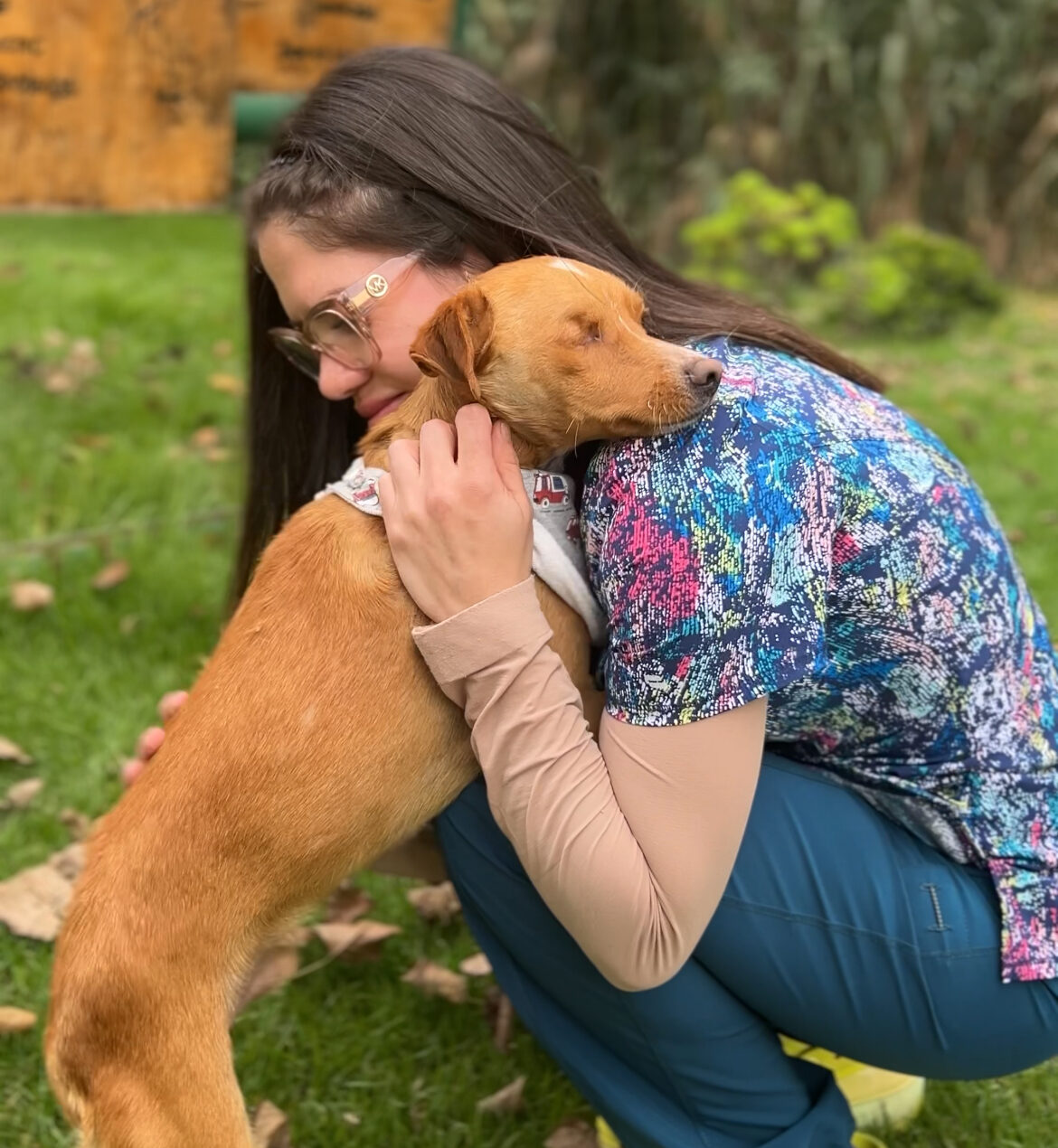 Match-cotas: La Serena potencia su campaña para adoptar animales de compañía