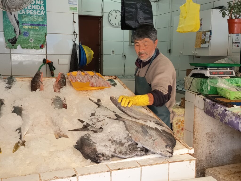 Estricta fiscalización sanitaria y carretera para Semana Santa en la Región de Coquimbo