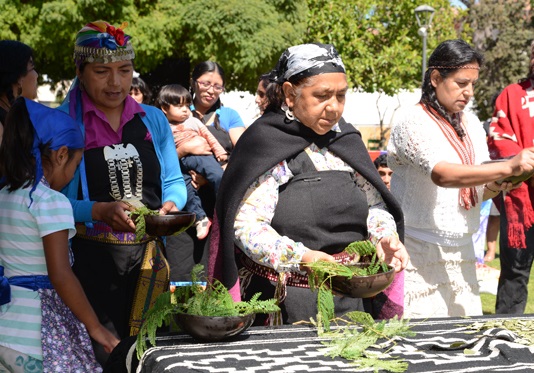 Pampilla Indígena: Raíces ancestrales cobran vida en La Serena durante fiestas patrias