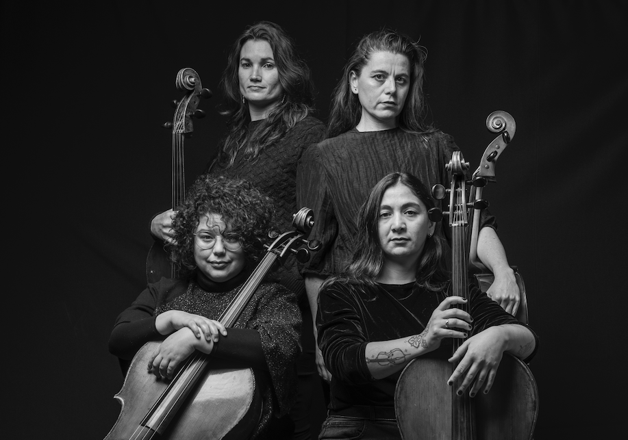 Cuarteto Trama cerrará el año en La Serena con la obra “Inflorescencia: ni flores ni géneros”