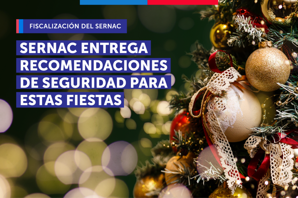 Que la navidad no se transforme en pesadilla: Estas son las recomendaciones de seguridad