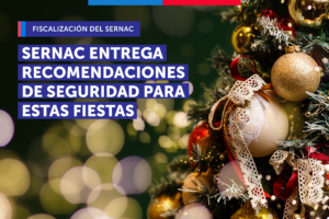 Que la navidad no se transforme en pesadilla: Estas son las recomendaciones de seguridad