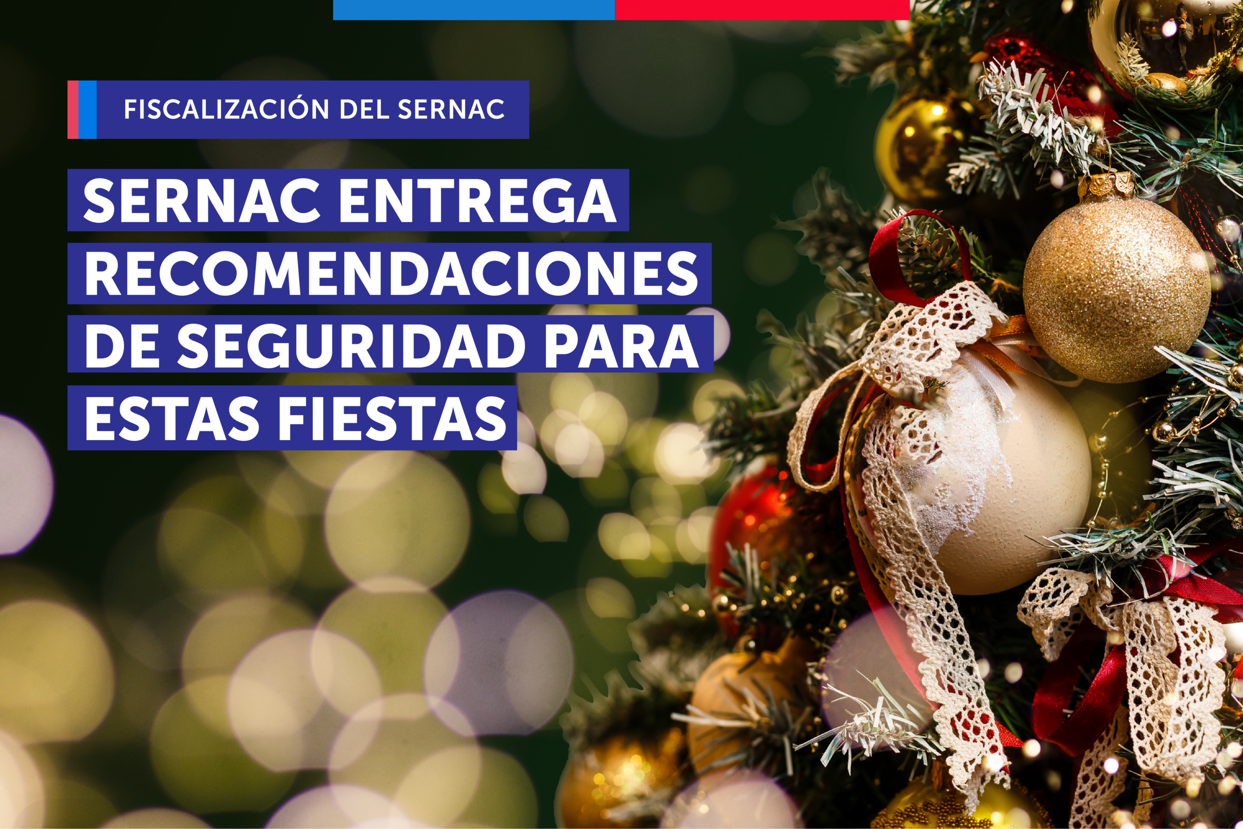 Que la navidad no se transforme en pesadilla: Estas son las recomendaciones de seguridad