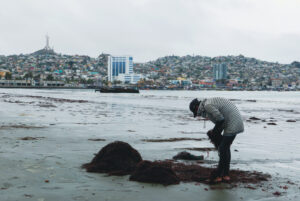 El residuo que la marea deja atrás ahora podría impulsar la agricultura en zonas áridas