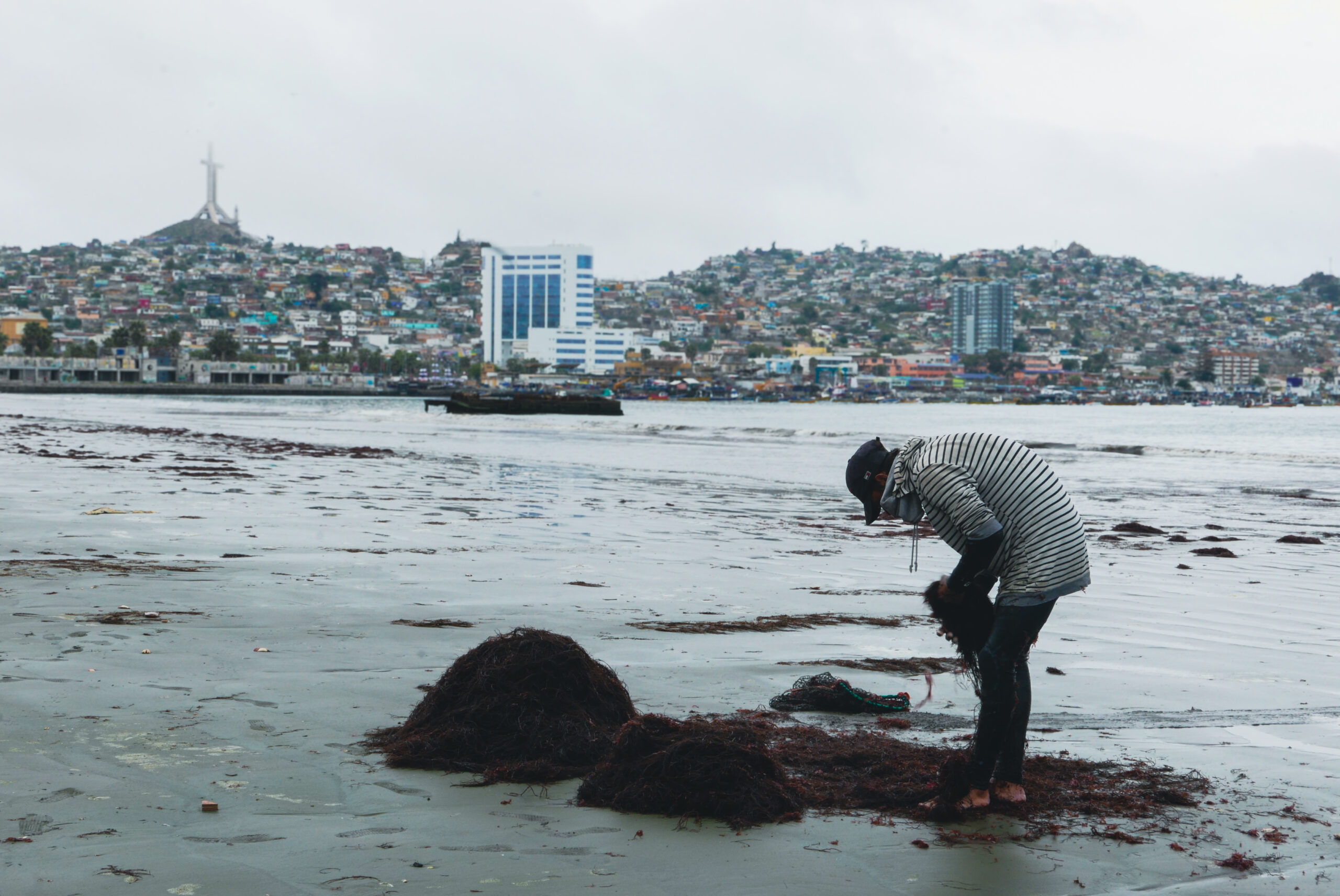 El residuo que la marea deja atrás ahora podría impulsar la agricultura en zonas áridas