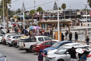 Tongoy comienza a reactivarse luego de una semana con "marea roja"