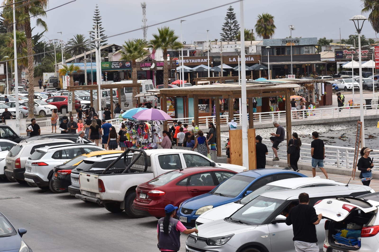 Tongoy comienza a reactivarse luego de una semana con "marea roja"