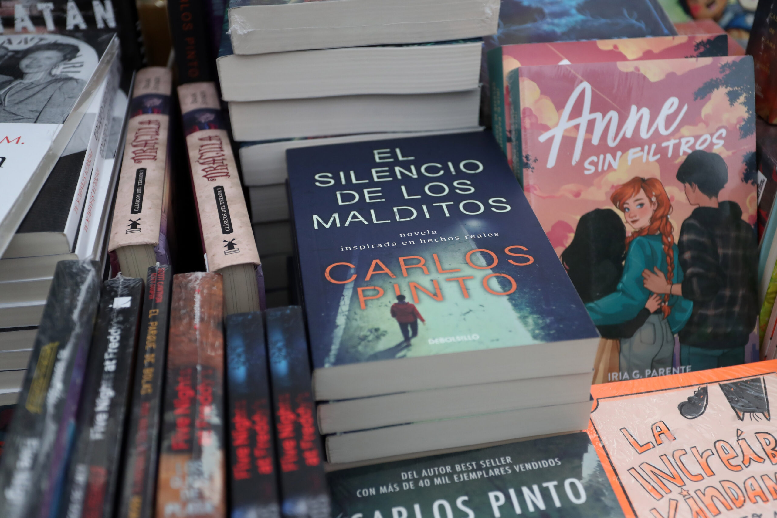 La Serena: Fomentan acceso a la cultura con biblioteca itinerante en la Avenida del Mar