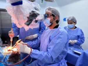 Hospital de Coquimbo es pionero en realizar bypass cerebral de alta complejidad en la región