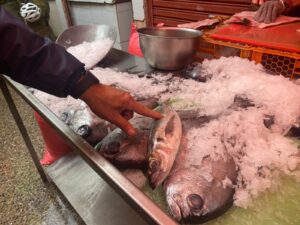 Autoridades de salud inician Plan de fiscalización preventivo por Semana Santa