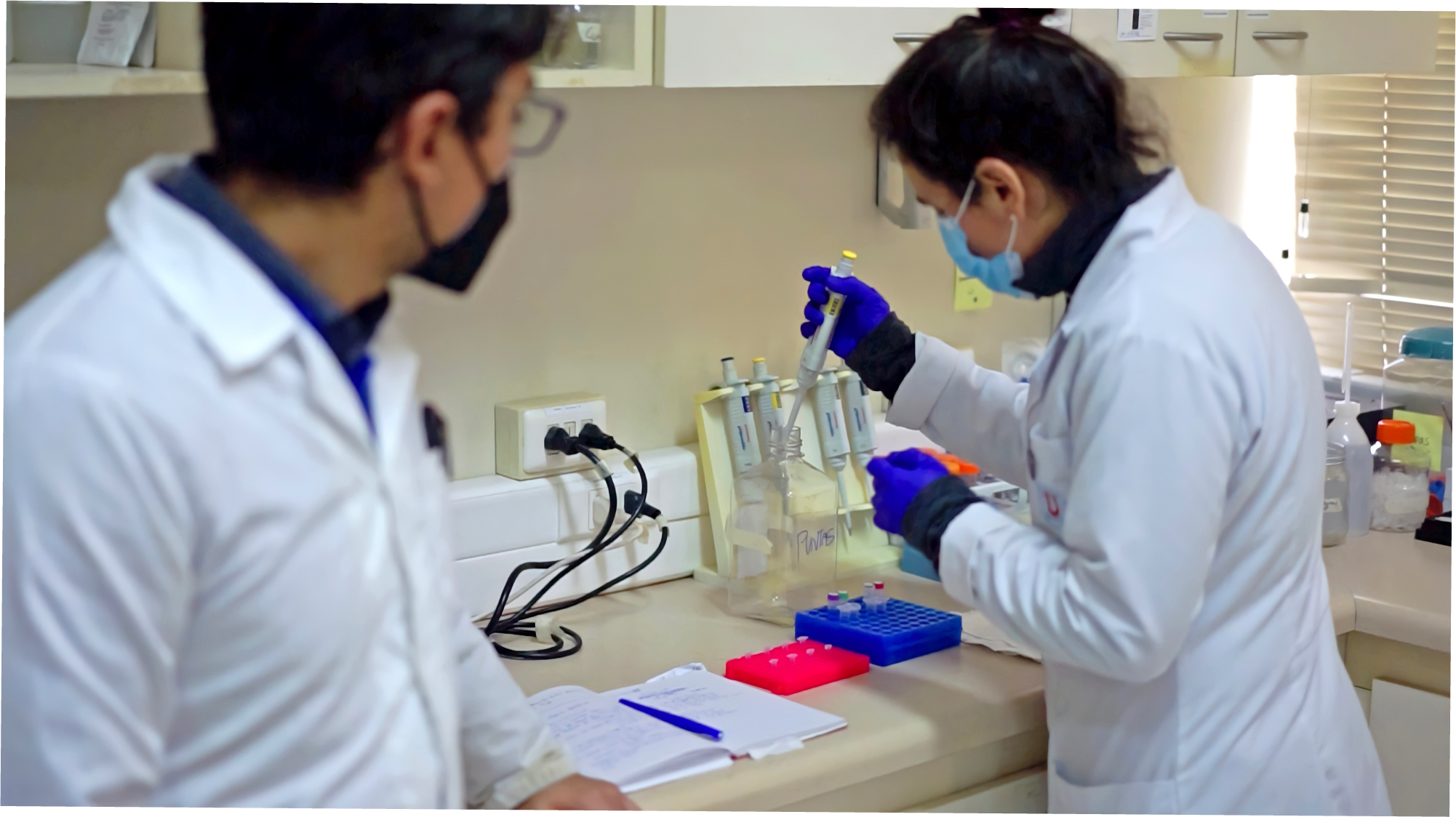 UCN y Ministerio de Salud fortalecerán la formación de especialistas en la Región de Coquimbo