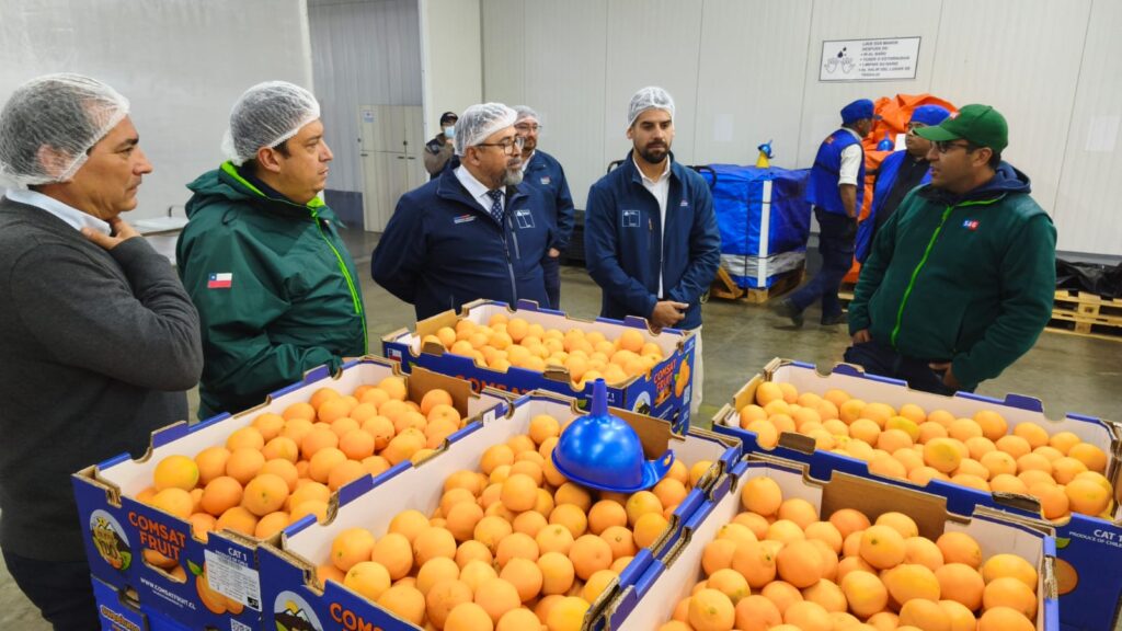 Implementan sistema de doble procesamiento para asegurar exportaciones de frutas hacia Estados Unidos