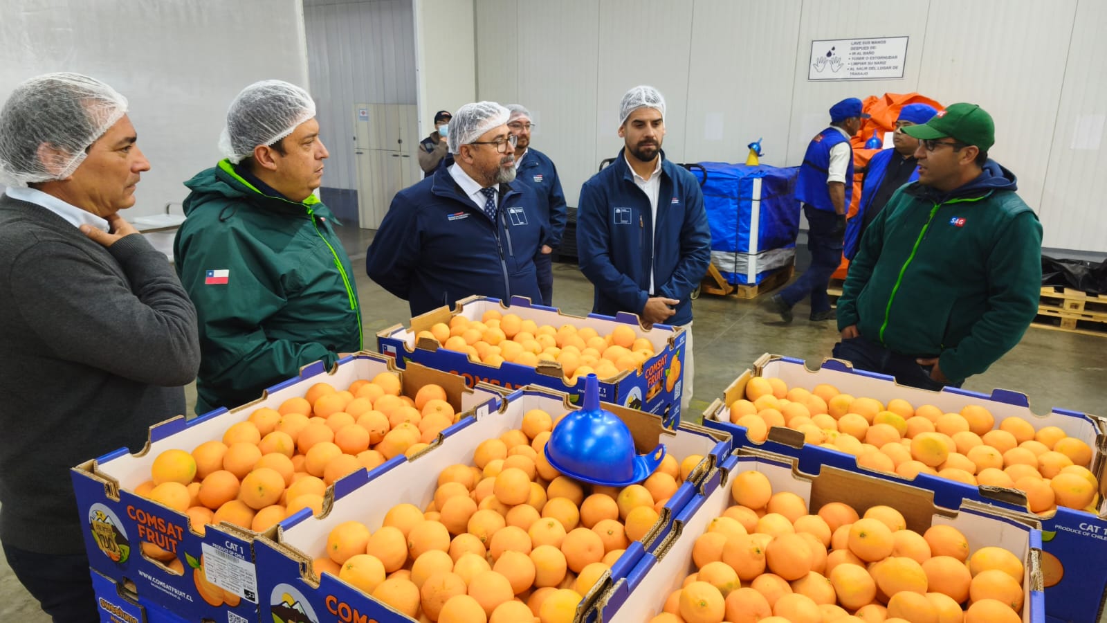 Implementan sistema de doble procesamiento para asegurar exportaciones de frutas hacia Estados Unidos