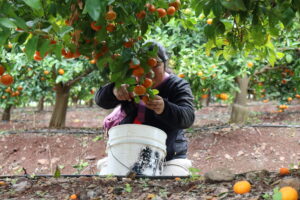 Más mujeres trabajando, pero con mayor precariedad: el otro dato del empleo regional